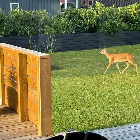 Ferienhaus Cozy Summer House With 100 Meters To The Sea
